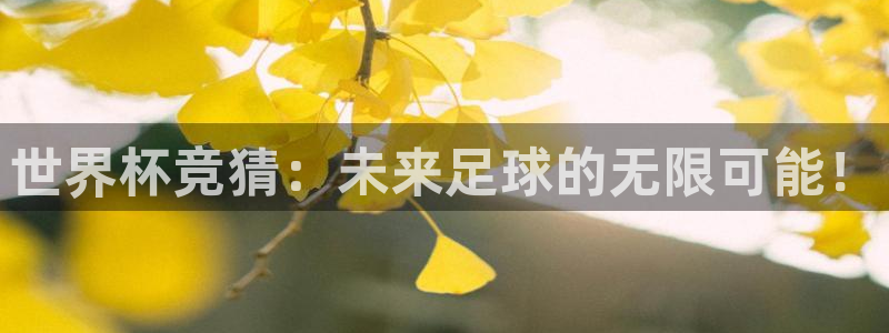 世界杯决赛直播：世界杯竞猜：未来足球的无限可能！