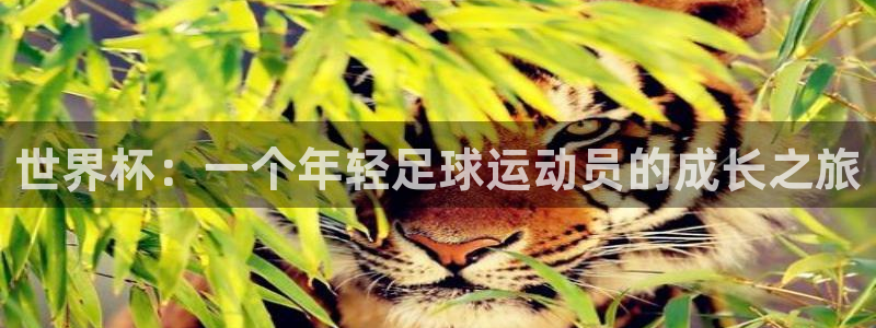2026足球世界杯赛程时间表:世界杯:一个年轻足球运动员的成长之旅