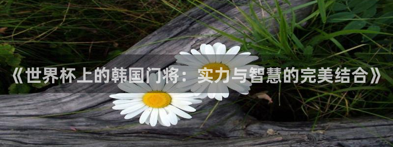 2026世界杯欧洲预选赛赛程表：《世界杯上的韩国门将：实力与智慧的完美结合》