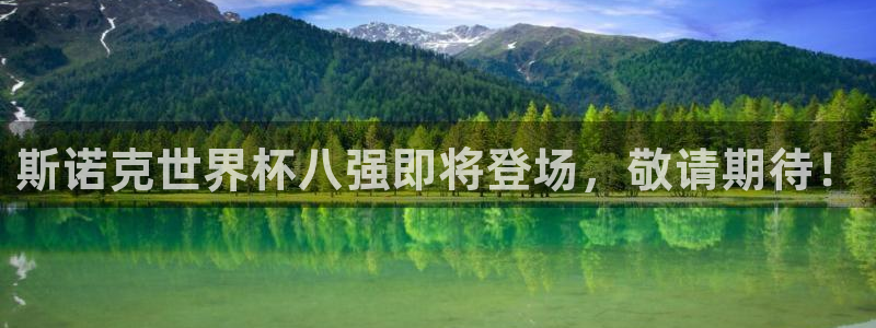 世界直播：斯诺克世界杯八强即将登场，敬请期待！