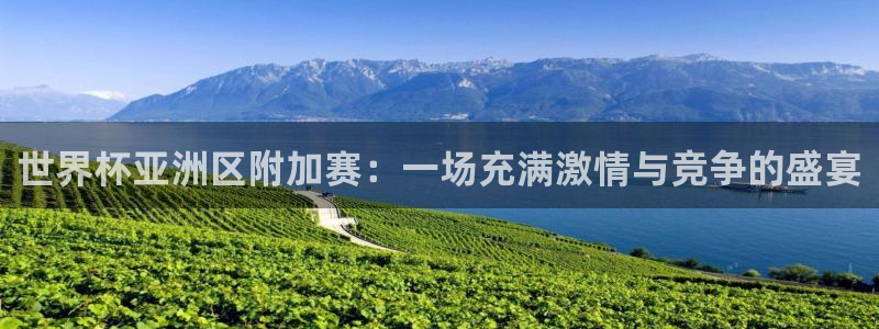 2026足球世界杯：世界杯亚洲区附加赛：一场充满激情与竞争的盛宴