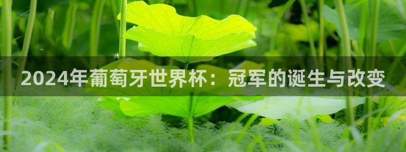 世界杯官网入口：2024年葡萄牙世界杯：冠军的诞生与改变