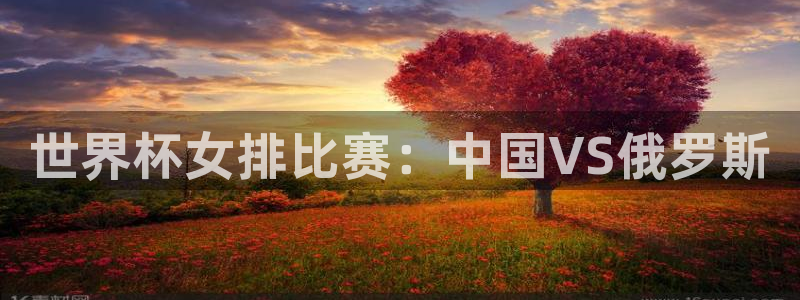 世界杯球队排名：世界杯女排比赛：中国VS俄罗斯