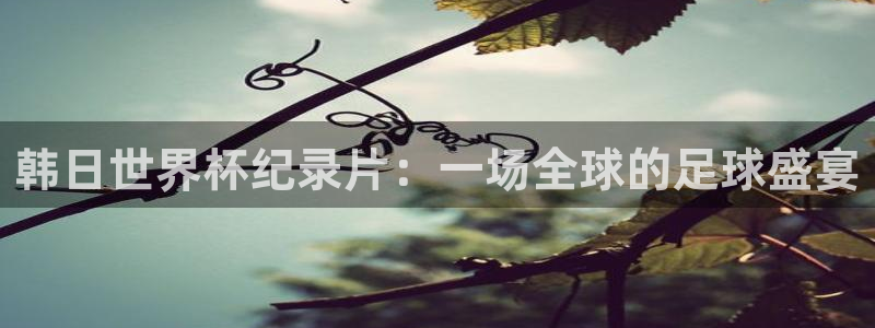 世界杯直播网：韩日世界杯纪录片：一场全球的足球盛宴