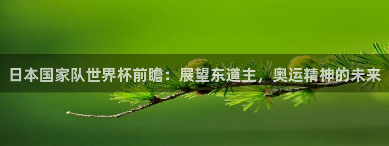 2026世界杯倒计时：日本国家队世界杯前瞻：展望东道主，奥运精神的未来
