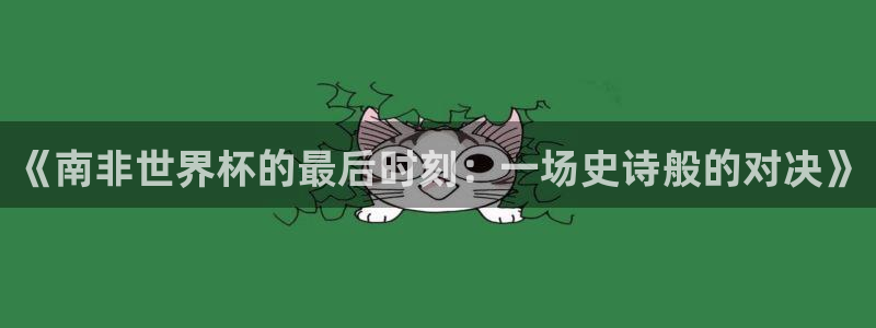 世界杯预选赛直播：《南非世界杯的最后时刻：一场史诗般的对决》