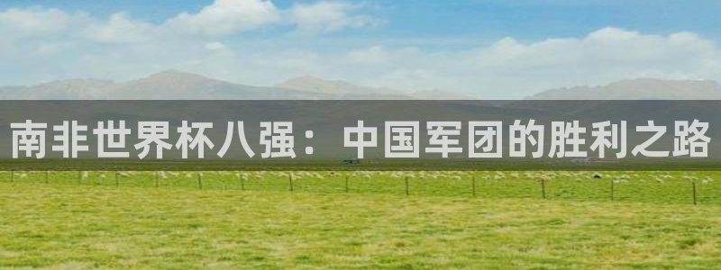 2026足球世界杯赛程：南非世界杯八强：中国军团的胜利之路